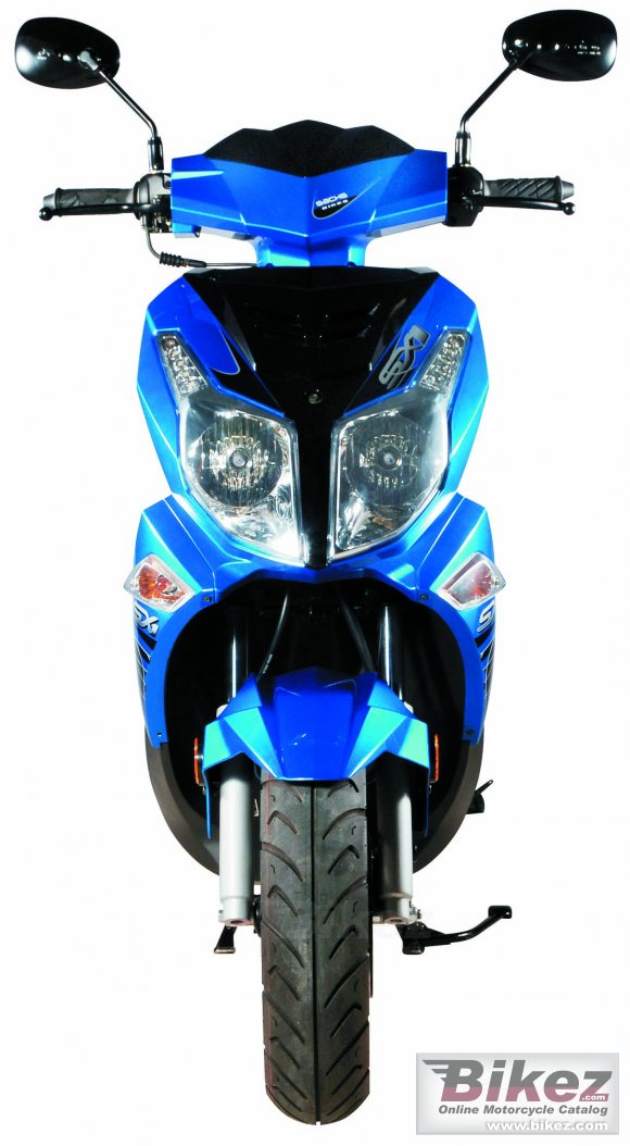 2008 Sachs SX1 photo